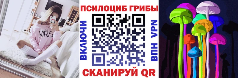 Купить где  Ачинск  Псилоцибиновые грибы Cubensis 